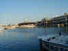 Hardo_rock_Miami.jpg (53121 bytes)